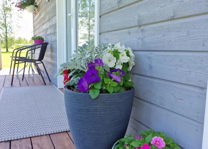 Small House With Sauna Papsaare